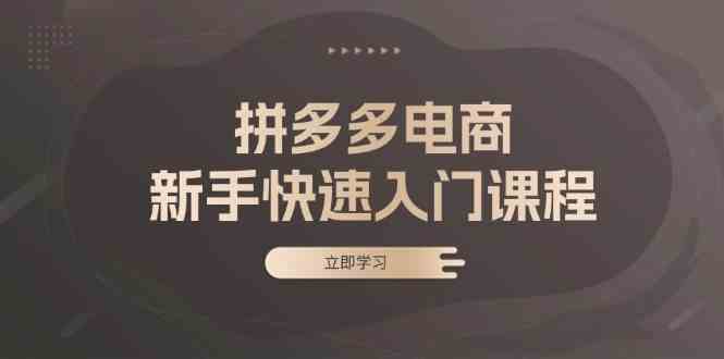 拼多多电商新手快速入门课程：涵盖基础、实战与选款，助力小白轻松上手 -1