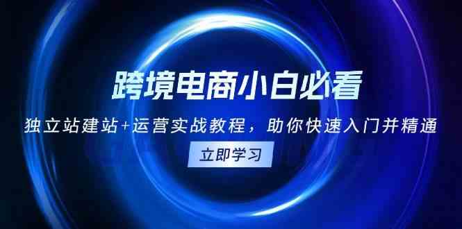 跨境电商小白必看！独立站建站+运营实战教程，助你快速入门并精通-猎天资源库