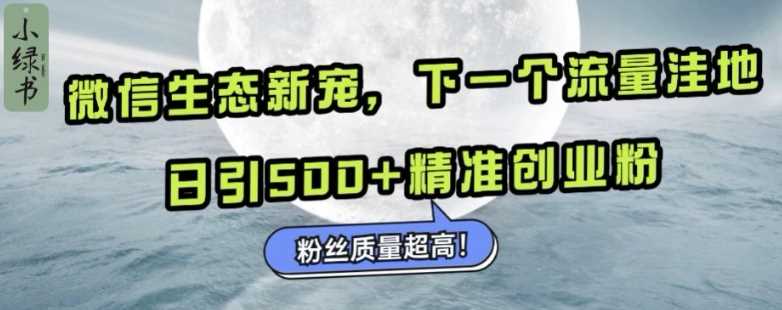 微信生态新宠小绿书：下一个流量洼地，日引500+精准创业粉，粉丝质量超高 -1