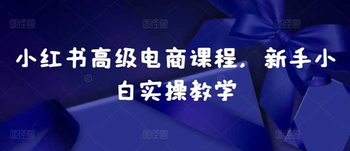 小红书高级电商课程，新手小白实操教学 -1