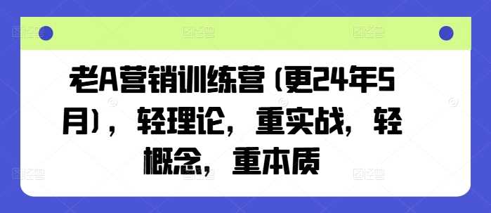 老A营销训练营(更24年12月)，轻理论，重实战，轻概念，重本质-阿灿说钱