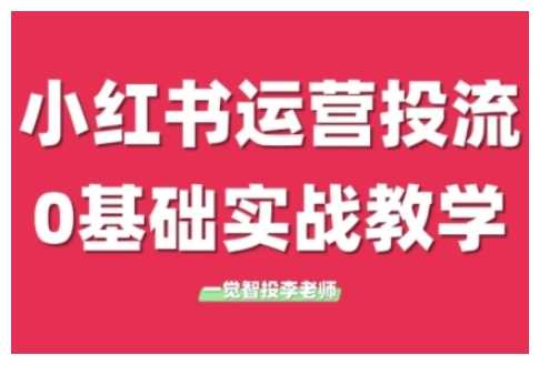 小红书运营投流，小红书广告投放从0到1的实战课，学完即可开始投放-阿灿说钱