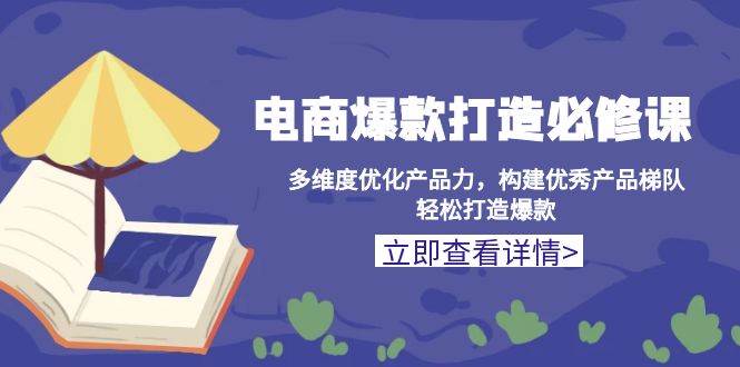 电商爆款打造必修课：多维度优化产品力，构建优秀产品梯队，轻松打造爆款-阿灿说钱