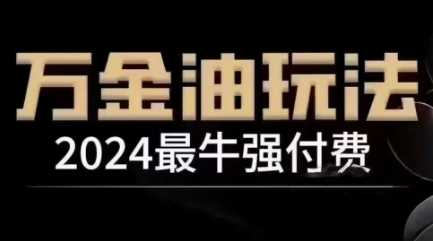 2024最牛强付费，万金油强付费玩法，干货满满，全程实操起飞（更新12月） -1