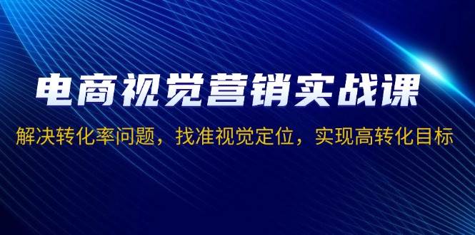 电商视觉营销实战课，解决转化率问题，找准视觉定位，实现高转化目标-阿灿说钱