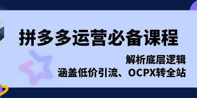 拼多多运营必备课程，解析底层逻辑，涵盖低价引流、OCPX转全站-阿灿说钱