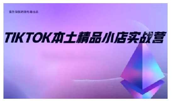 TikTok本土精品小店出海实战营，从入门到高阶，不止0-1!-阿灿说钱