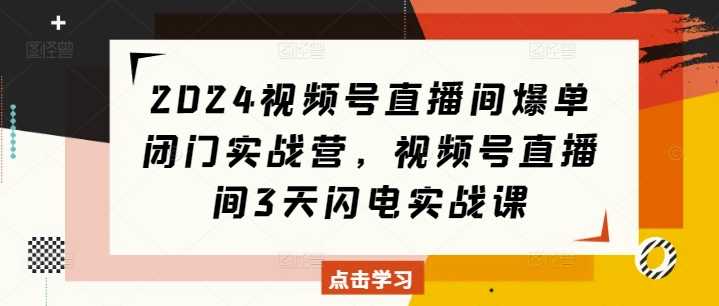 2024视频号直播间爆单闭门实战营，视频号直播间3天闪电实战课-阿灿说钱