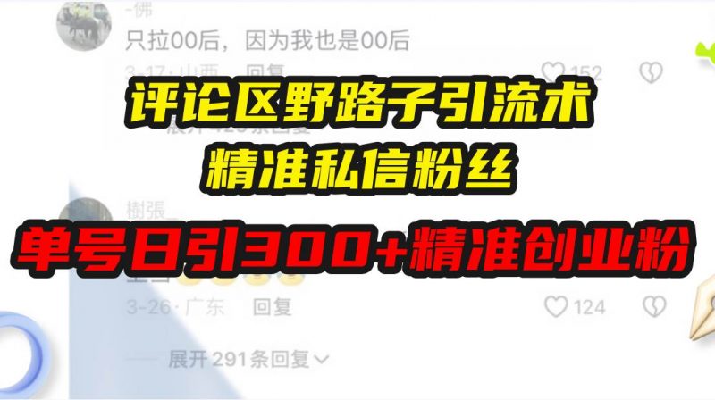 评论区野路子引流术，精准私信粉丝，单号日引流300+精准创业粉 -1