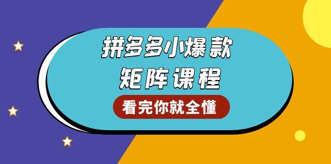 拼多多爆款矩阵课程：教你测出店铺爆款，优化销量，提升GMV，打造爆款群-阿灿说钱