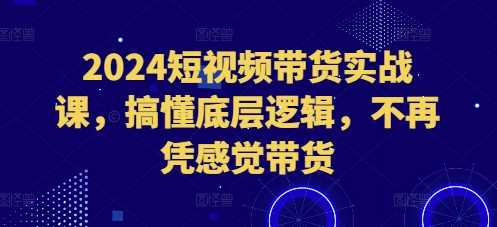 2024短视频带货实战课，搞懂底层逻辑，不再凭感觉带货-猎天资源库